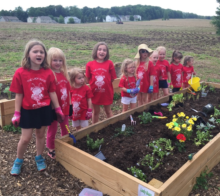The Lady Bugs T-Shirt Photo