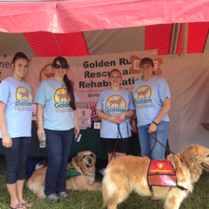 Dog Fest 2015 T-Shirt Photo