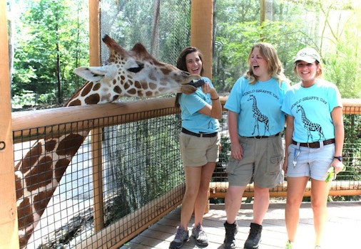 World Giraffe Day T-Shirt Photo