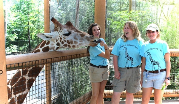 World Giraffe Day T-Shirt Photo
