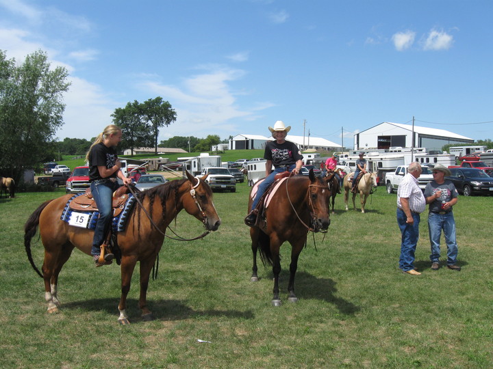 Horsing Around At The Pink Show! T-Shirt Photo