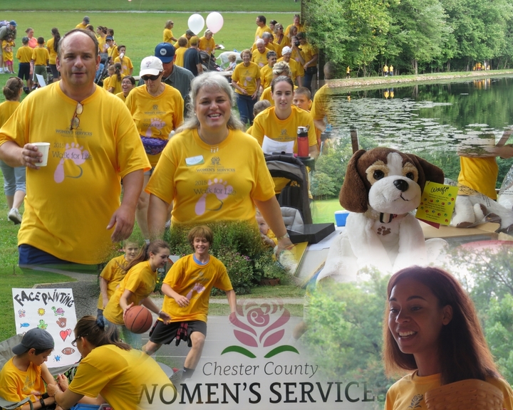 Ccws Walk For Life T-Shirt Photo