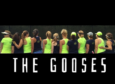 The Gooses T-Shirt Photo