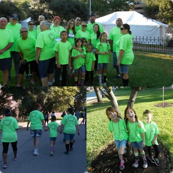 2015 Afsp "Out Of The Darkness"  Walk T-Shirt Photo