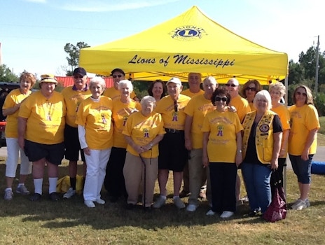 Diamondhed Lions "Walk For Sight" 2015 T-Shirt Photo