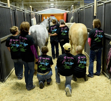 Quarter Horse Congress 2015 T-Shirt Photo