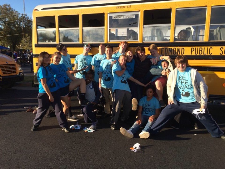 The Swans T-Shirt Photo