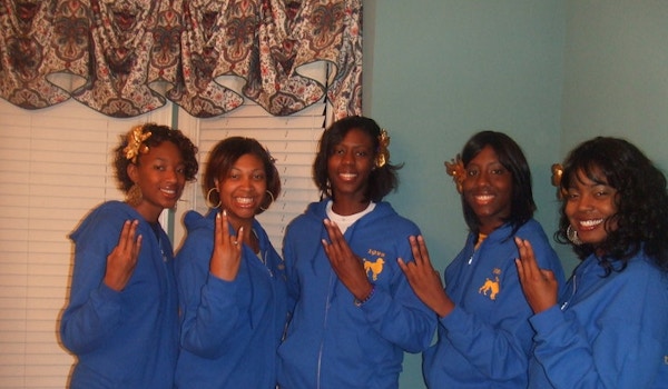 Picture of Classy Poodles Custom T-Shirt Design Classy Poodles T-Shirt Photo