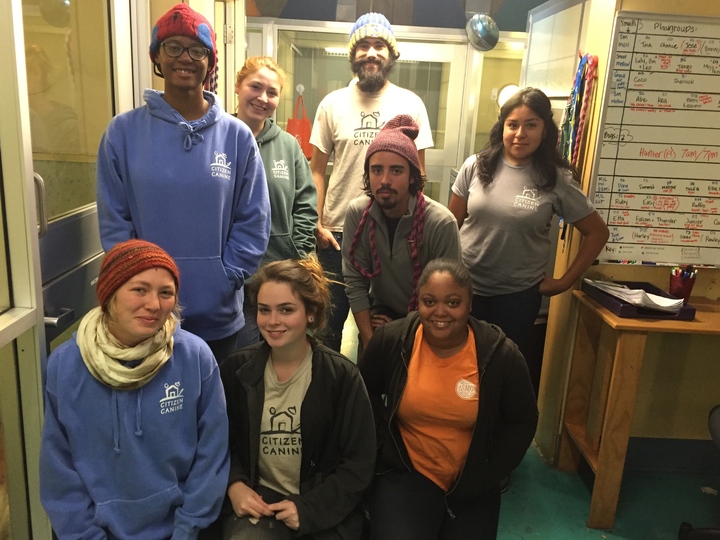 Citizen Canine   Canine Care Team T-Shirt Photo