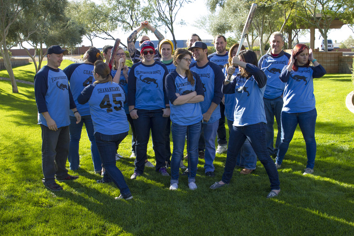 The Flip Switch Goats Get Along Great! T-Shirt Photo