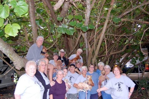 Posse' Girls & Posse' Pups In A Tree  T-Shirt Photo
