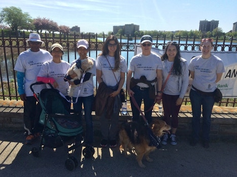 Team Hirschel Marching To Promote Adoption Of Blind And Senior Pets T-Shirt Photo