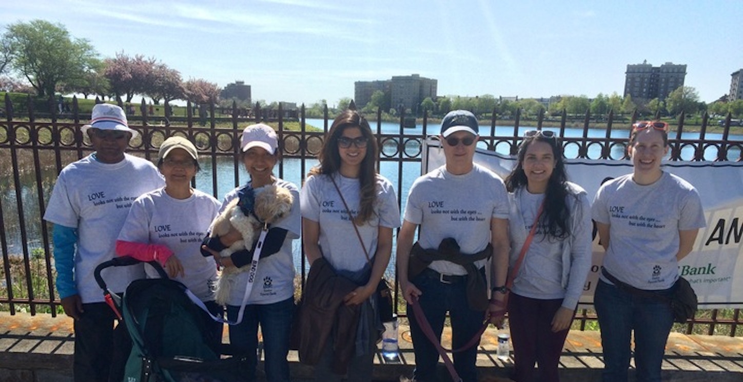 Picture of Team Hirschel Marching To Promote Adoption Of Blind And Senior Pets Custom T-Shirt Design Team Hirschel Marching To Promote Adoption Of Blind And Senior Pets T-Shirt Photo