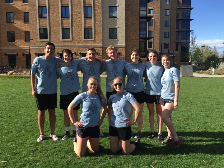 Lizards T-Shirt Photo