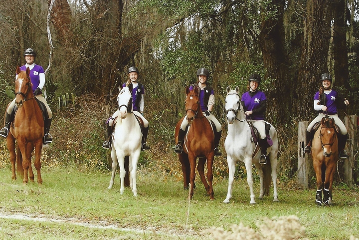 Tally Ho! T-Shirt Photo