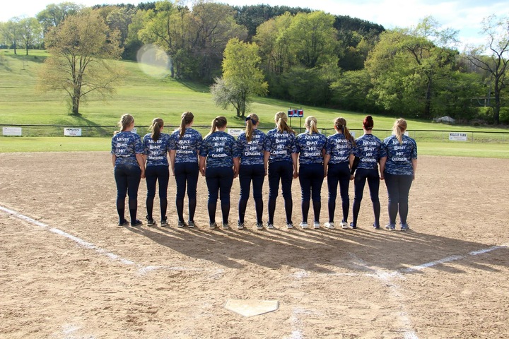 Never Bunt Hit Dingers T-Shirt Photo