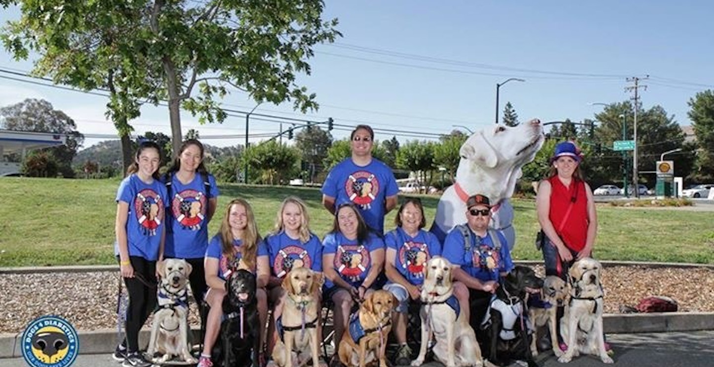 Team Life Savers On Leashes At Dogs4 Diabetics 9th Annual Walk T-Shirt Photo
