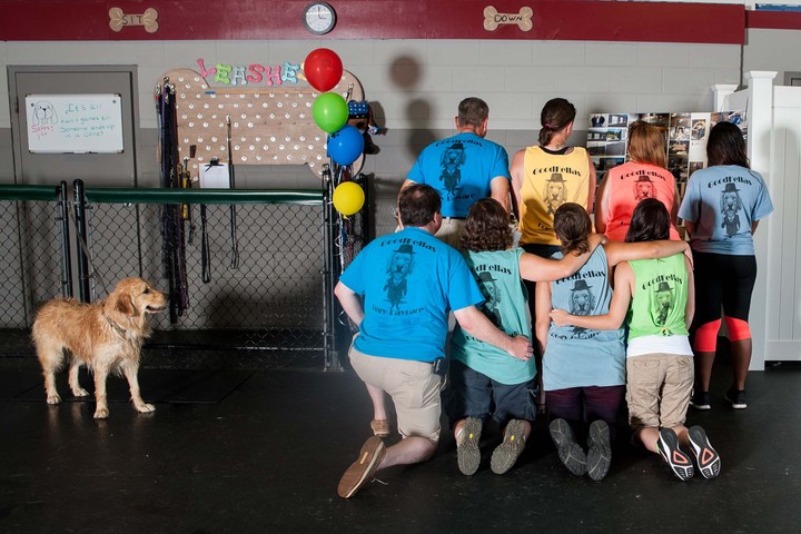 Good Fellas Team T-Shirt Photo