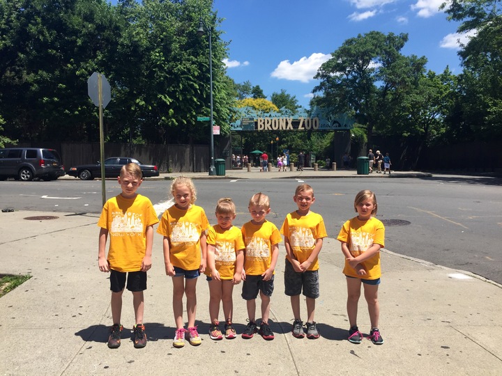Bronx Zoo T-Shirt Photo