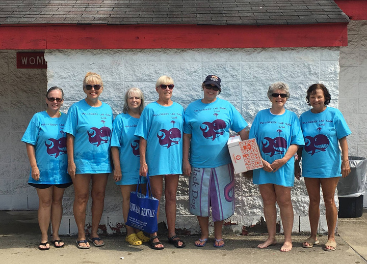 Hillcrest Lap Swim T-Shirt Photo