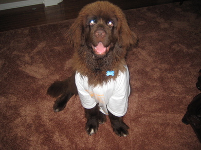 Dudley T-Shirt Photo