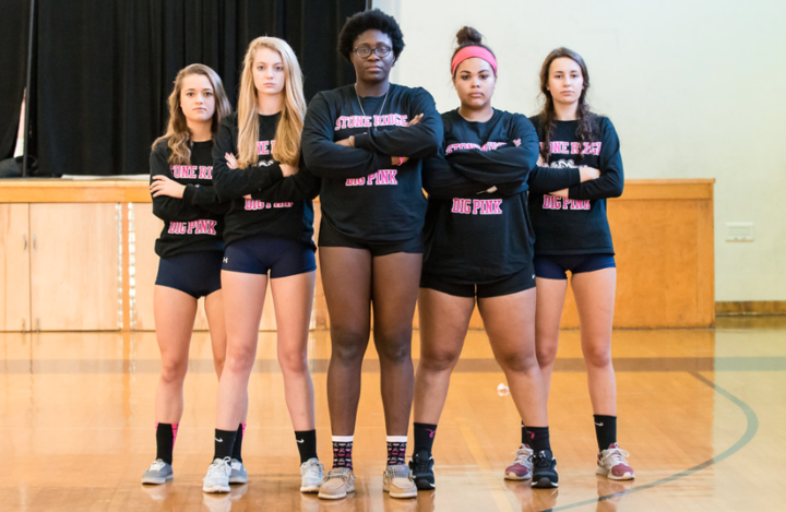 Stone Ridge Dig Pink 2016 T-Shirt Photo