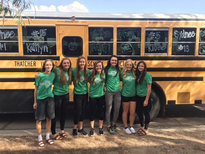 Ths Volleyball State 2016 T-Shirt Photo