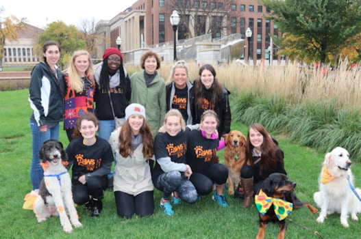 Paws For A Cause 5 K T-Shirt Photo