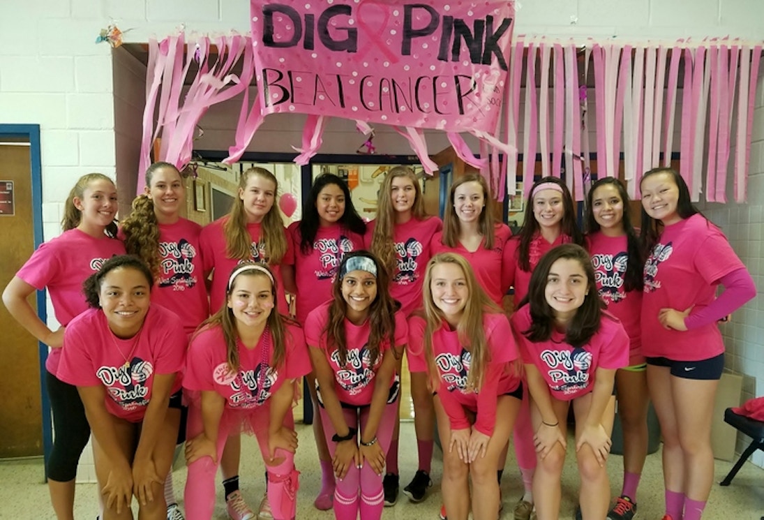 West Springfield Hs Dig Pink Rally T-Shirt Photo
