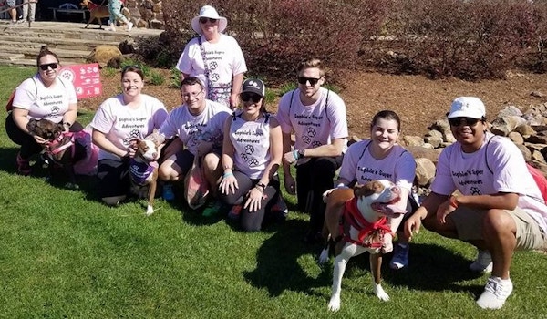 Picture of Sophie's Super Adventures Custom T-Shirt Design Sophie's Super Adventures T-Shirt Photo