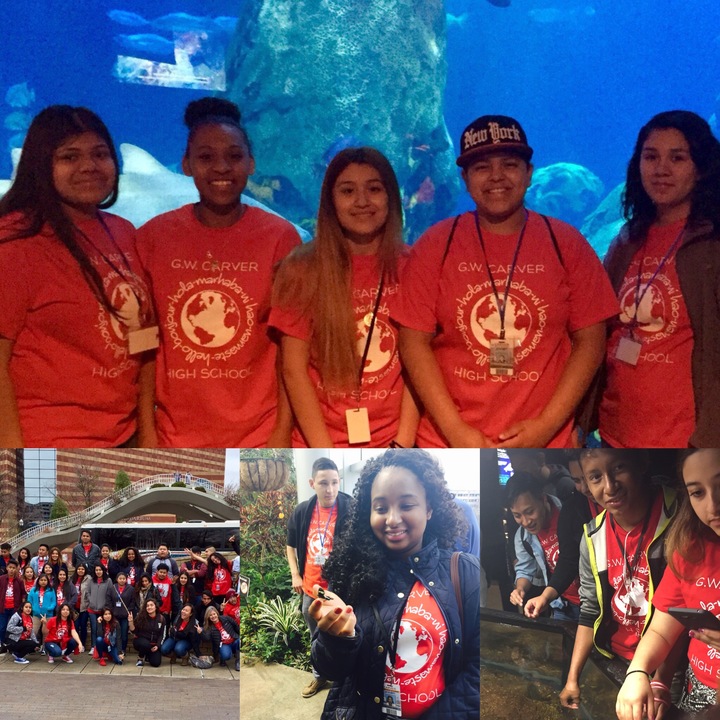 Aquarium Adventure! T-Shirt Photo