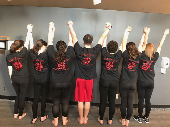 Israel Folkdance Festival Of Boston 2017 T-Shirt Photo