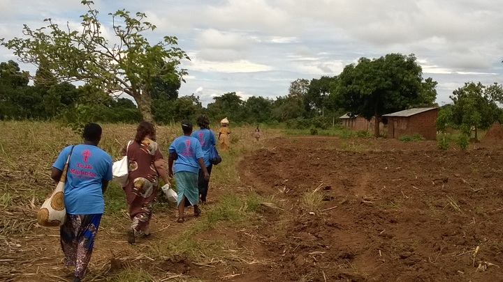 Coummunity Health Walk T-Shirt Photo