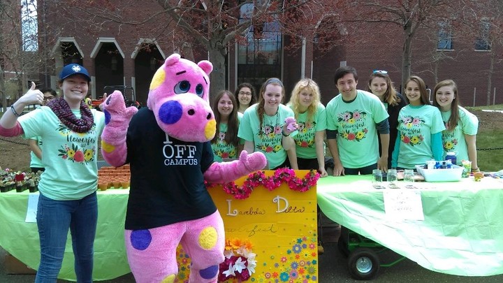 Flower Fest T-Shirt Photo