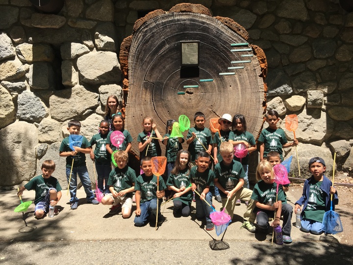 Exploring Yosemite National Park T-Shirt Photo