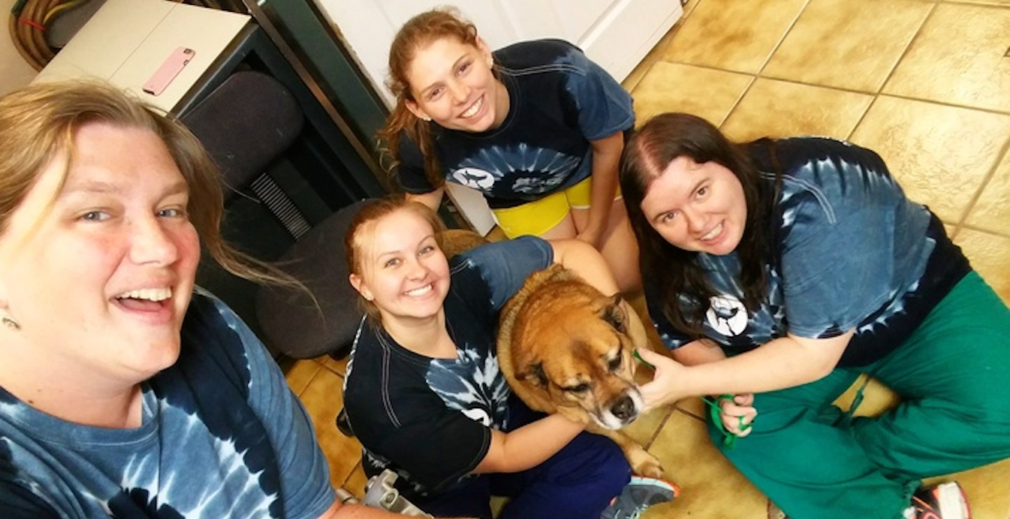 Picture of Tie Dye Summer At Our Animal Hospital! Custom T-Shirt Design Tie Dye Summer At Our Animal Hospital! T-Shirt Photo