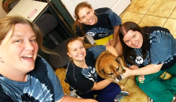 Picture of Tie Dye Summer At Our Animal Hospital! Custom T-Shirt Design Tie Dye Summer At Our Animal Hospital! T-Shirt Photo