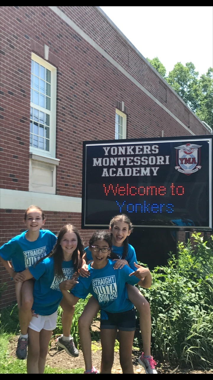 The Sneaksters @ Yma 2014 2017 T-Shirt Photo