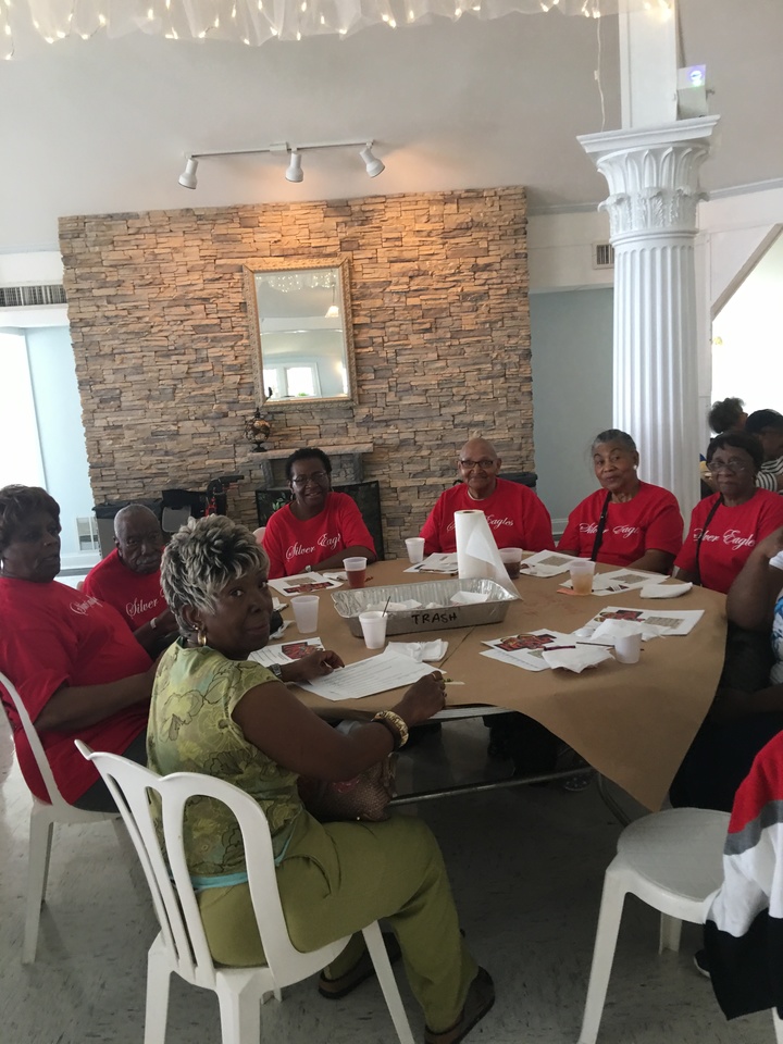Silver Eagles At Kurtz Beach  T-Shirt Photo