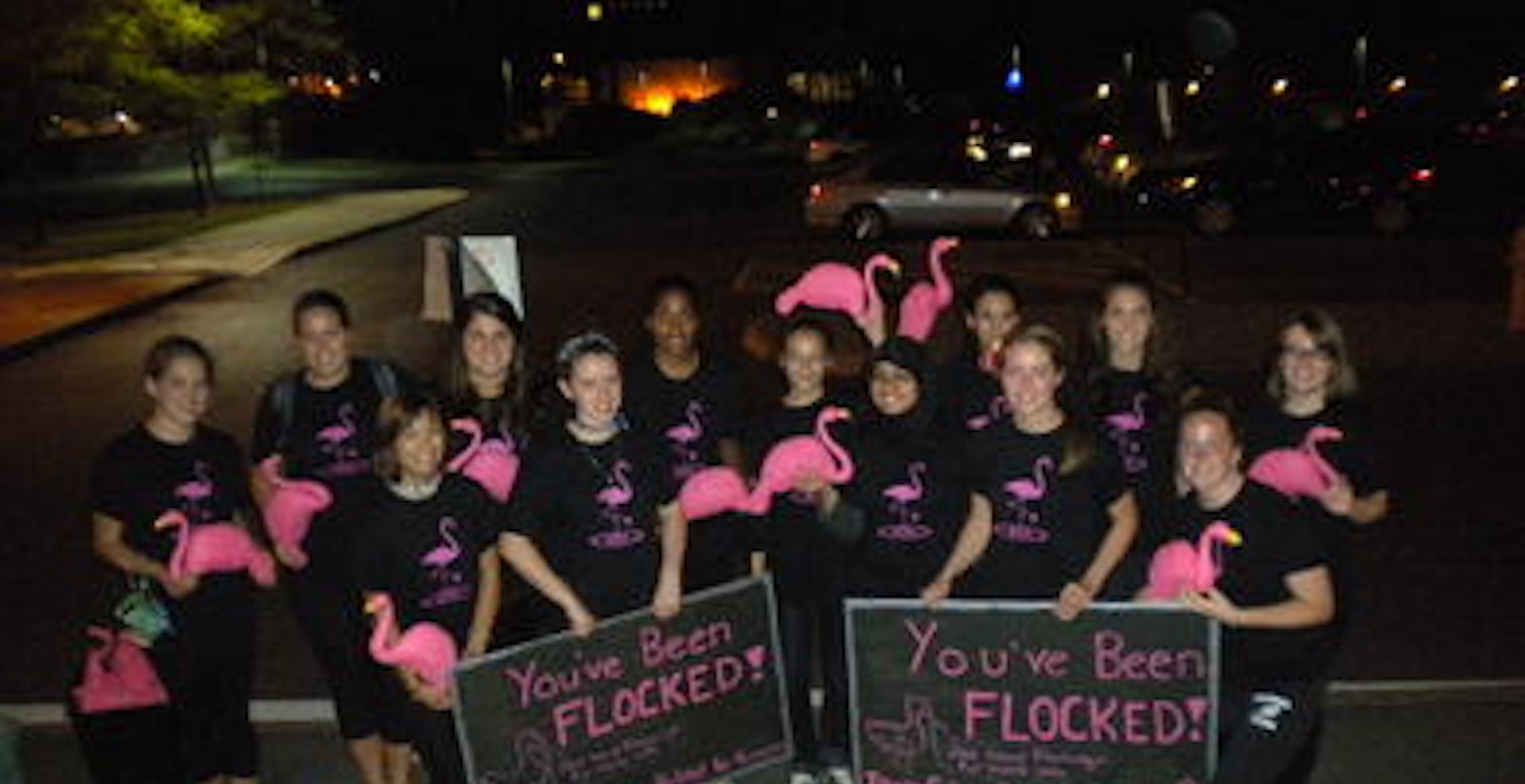 Ithaca College Habitat For Humanity Flamingo Flockers T-Shirt Photo