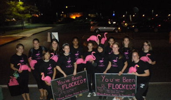 Ithaca College Habitat For Humanity Flamingo Flockers T-Shirt Photo