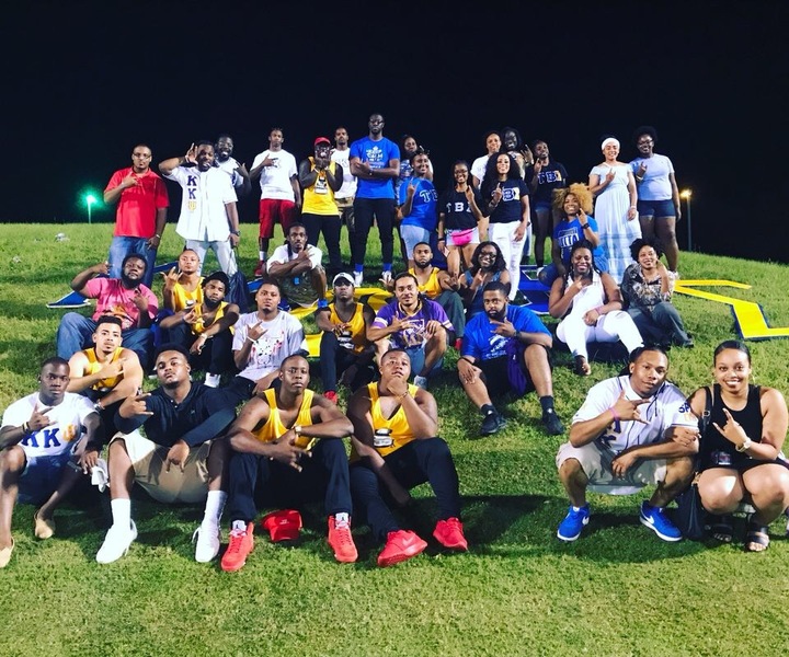 Vitamin D T-Shirt Photo