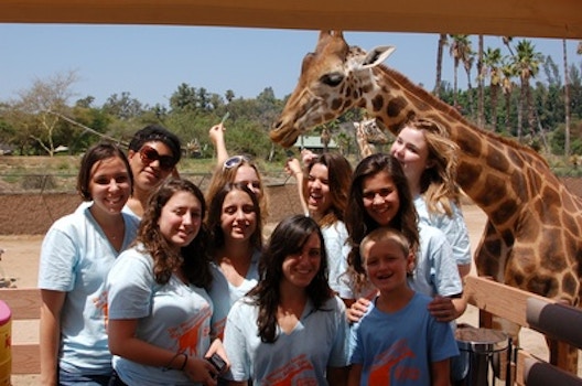 The Westchester Lariats Visit San Diego And Feed Giraffes!!! T-Shirt Photo