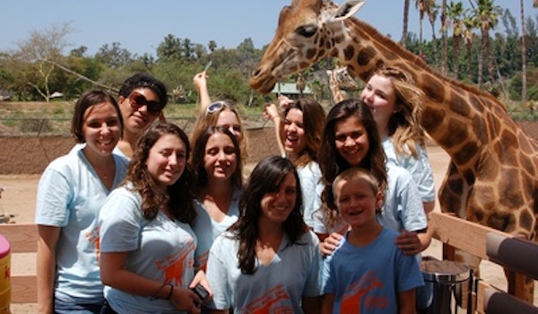 Picture of The Westchester Lariats Visit San Diego And Feed Giraffes!!! Custom T-Shirt Design The Westchester Lariats Visit San Diego And Feed Giraffes!!! T-Shirt Photo