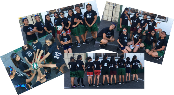 Icef Vista Eagles Seek Hoodies! T-Shirt Photo