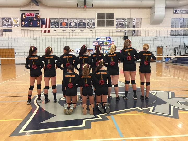 Lady Falcons Play As Good As They Look! T-Shirt Photo