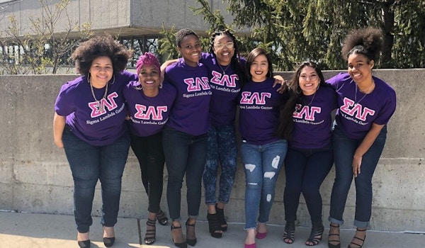 Picture of Beauty Of A Pink Rose Custom T-Shirt Design Beauty Of A Pink Rose T-Shirt Photo