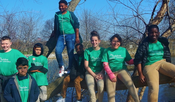 Picture of Birds Tell Us The Earth Is In Our Hands Custom T-Shirt Design Birds Tell Us The Earth Is In Our Hands T-Shirt Photo