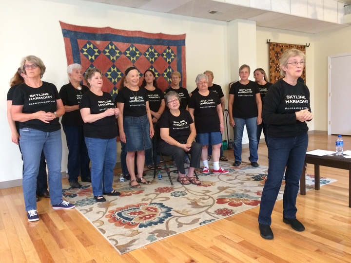 Skyline Harmony Performing At The Front Porch In Charlottesville, Va T-Shirt Photo