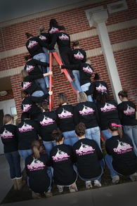 Lchs Softball Beginning Our Climb... T-Shirt Photo